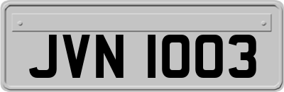 JVN1003