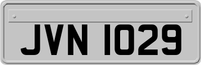 JVN1029