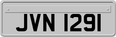 JVN1291