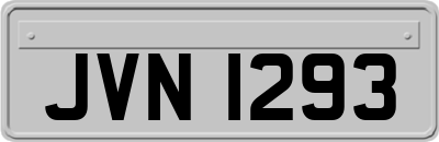 JVN1293