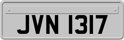 JVN1317