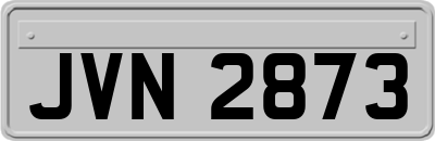 JVN2873