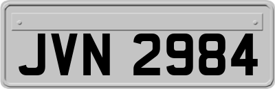JVN2984