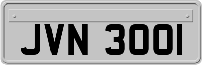 JVN3001