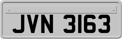 JVN3163
