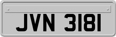 JVN3181