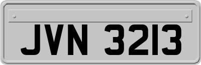 JVN3213