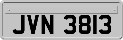JVN3813