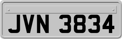 JVN3834