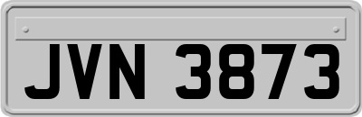 JVN3873