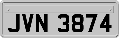 JVN3874