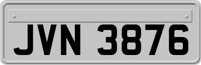 JVN3876