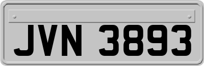 JVN3893