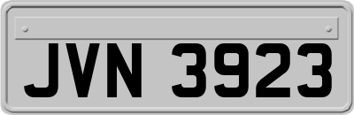 JVN3923