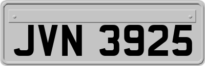 JVN3925