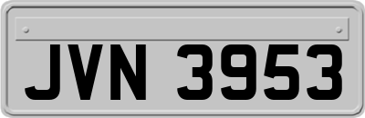 JVN3953