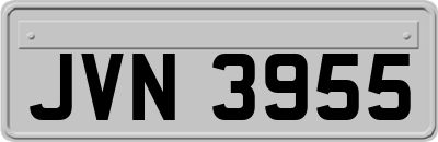 JVN3955