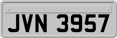 JVN3957