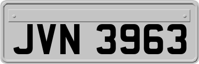 JVN3963
