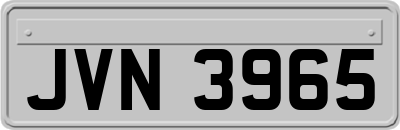 JVN3965