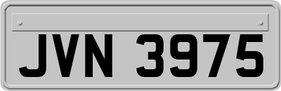 JVN3975