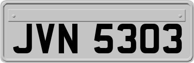 JVN5303