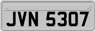 JVN5307