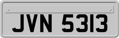 JVN5313