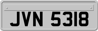 JVN5318