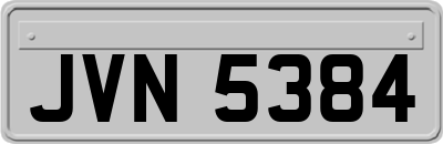 JVN5384