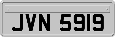 JVN5919