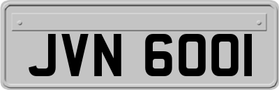 JVN6001