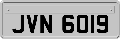 JVN6019