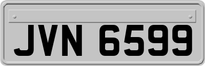 JVN6599