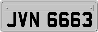 JVN6663
