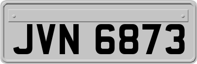 JVN6873