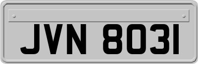 JVN8031