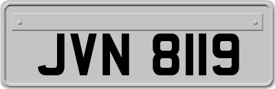 JVN8119
