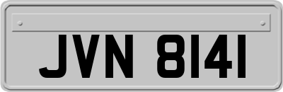 JVN8141