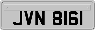 JVN8161