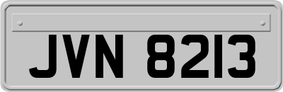 JVN8213