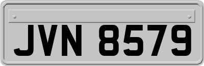JVN8579