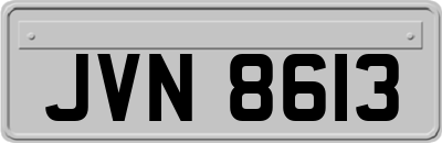 JVN8613