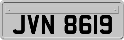 JVN8619