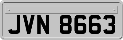 JVN8663