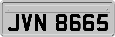 JVN8665