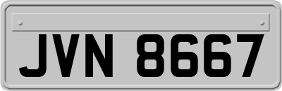 JVN8667