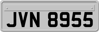 JVN8955