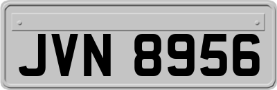 JVN8956