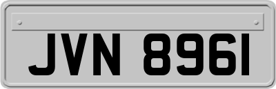 JVN8961
